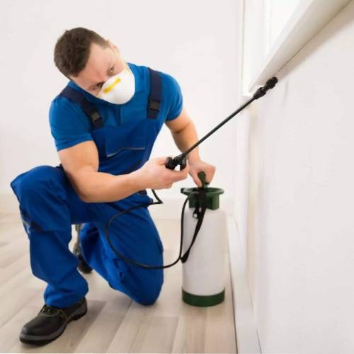 Residential Pest Control